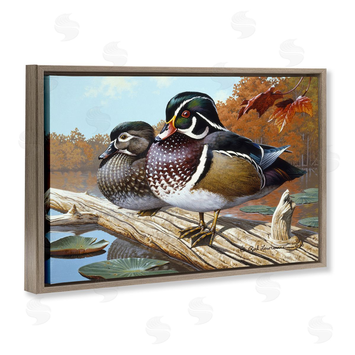 Rod Lawrence Duck Pair on Driftwood Brown Floating Frame Canvas Wall Art Print