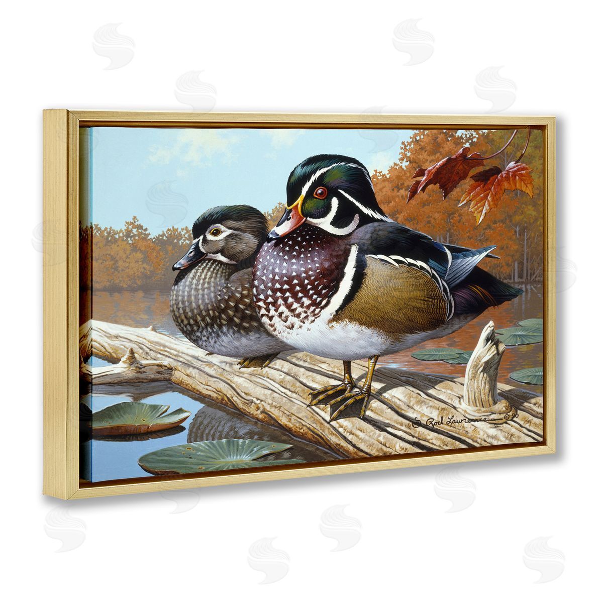 Rod Lawrence Duck Pair on Driftwood Gold Floating Frame Canvas Wall Art Print