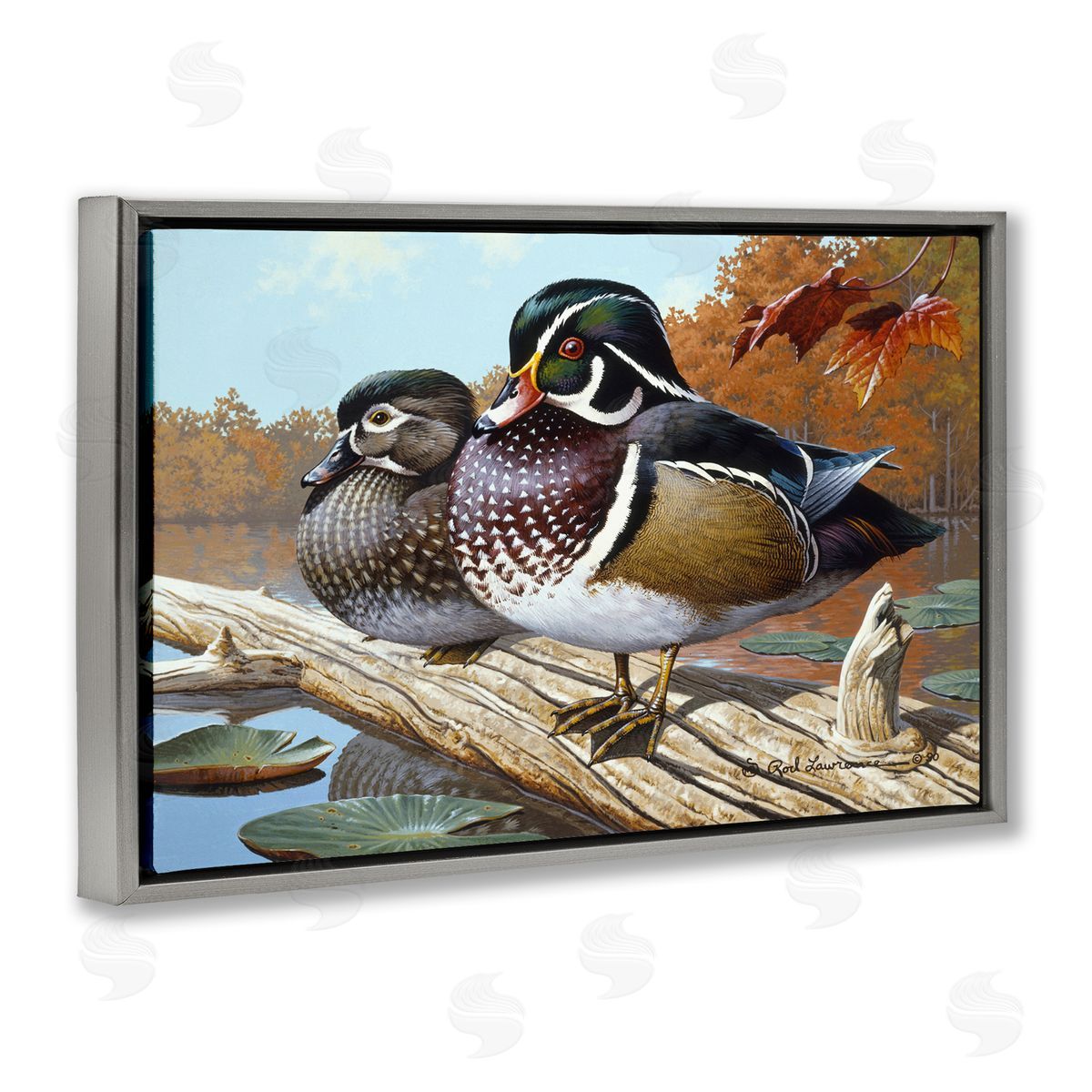 Rod Lawrence Duck Pair on Driftwood Gray Floating Frame Canvas Wall Art Print