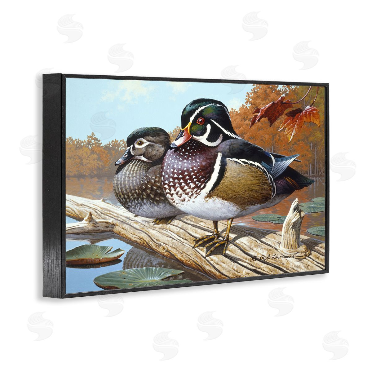 Rod Lawrence Duck Pair on Driftwood Black Framed Giclee Wall Art Print