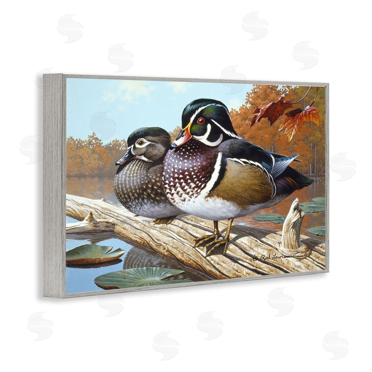 Rod Lawrence Duck Pair on Driftwood Gray Framed Giclee Wall Art Print