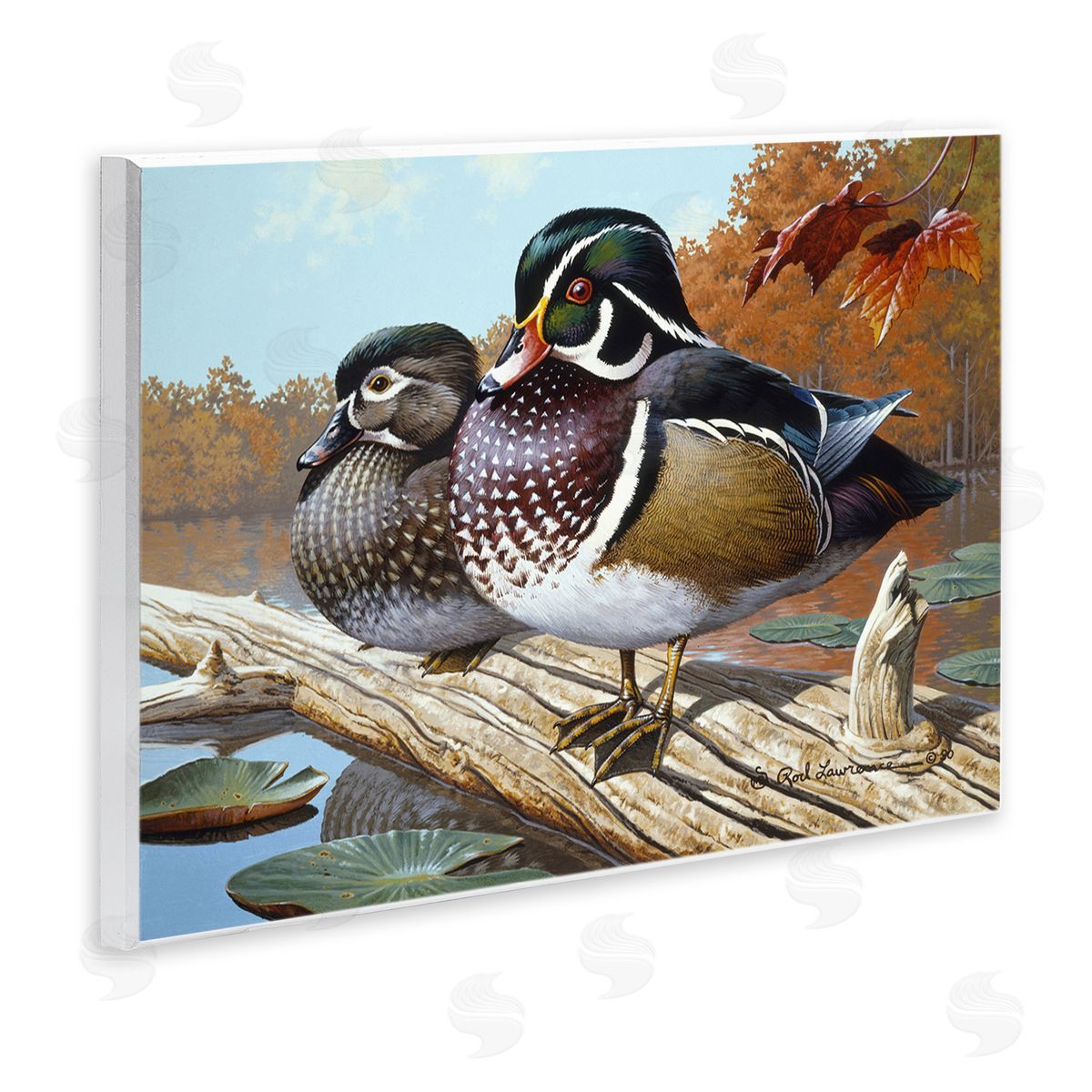 Rod Lawrence Duck Pair on Driftwood Wooden Wall Plaque Art Print