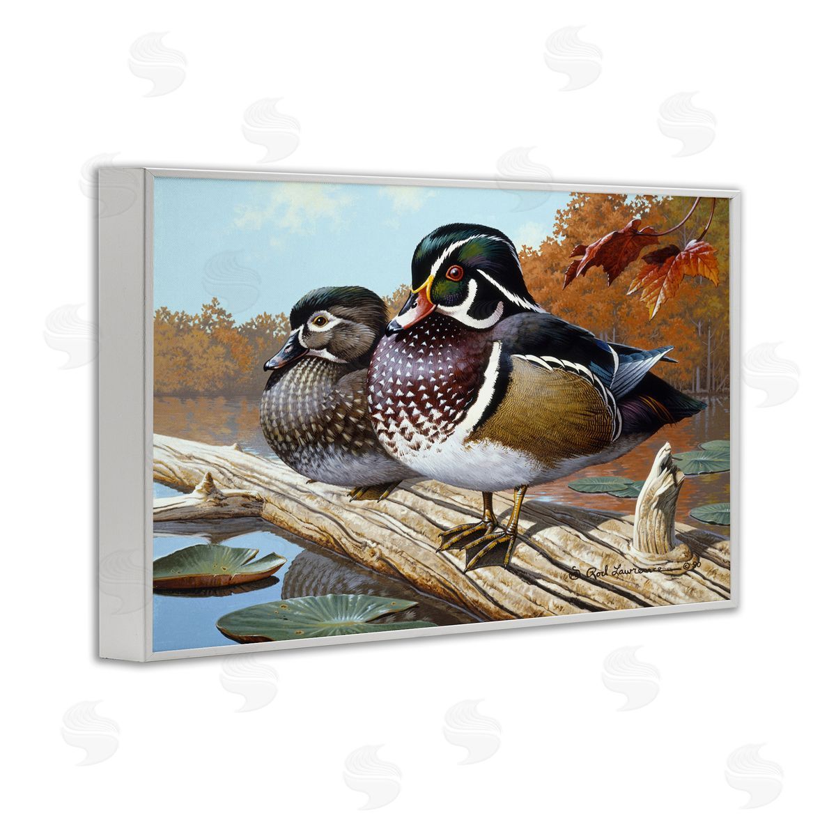 Rod Lawrence Duck Pair on Driftwood White Framed Giclee Wall Art Print