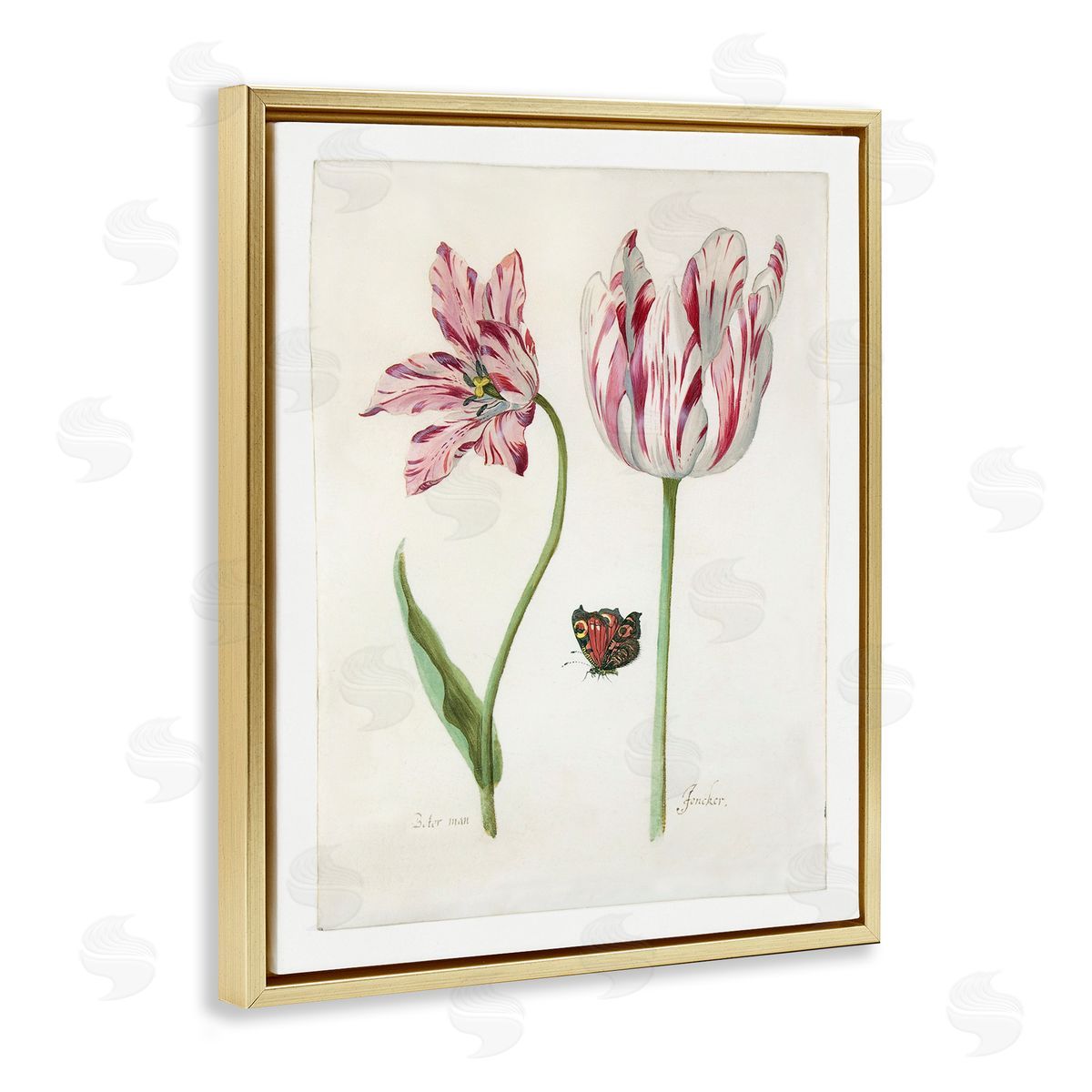 Jacob Marrel Classic Tulip & Butterfly Gold Floating Frame Canvas Wall Art Print
