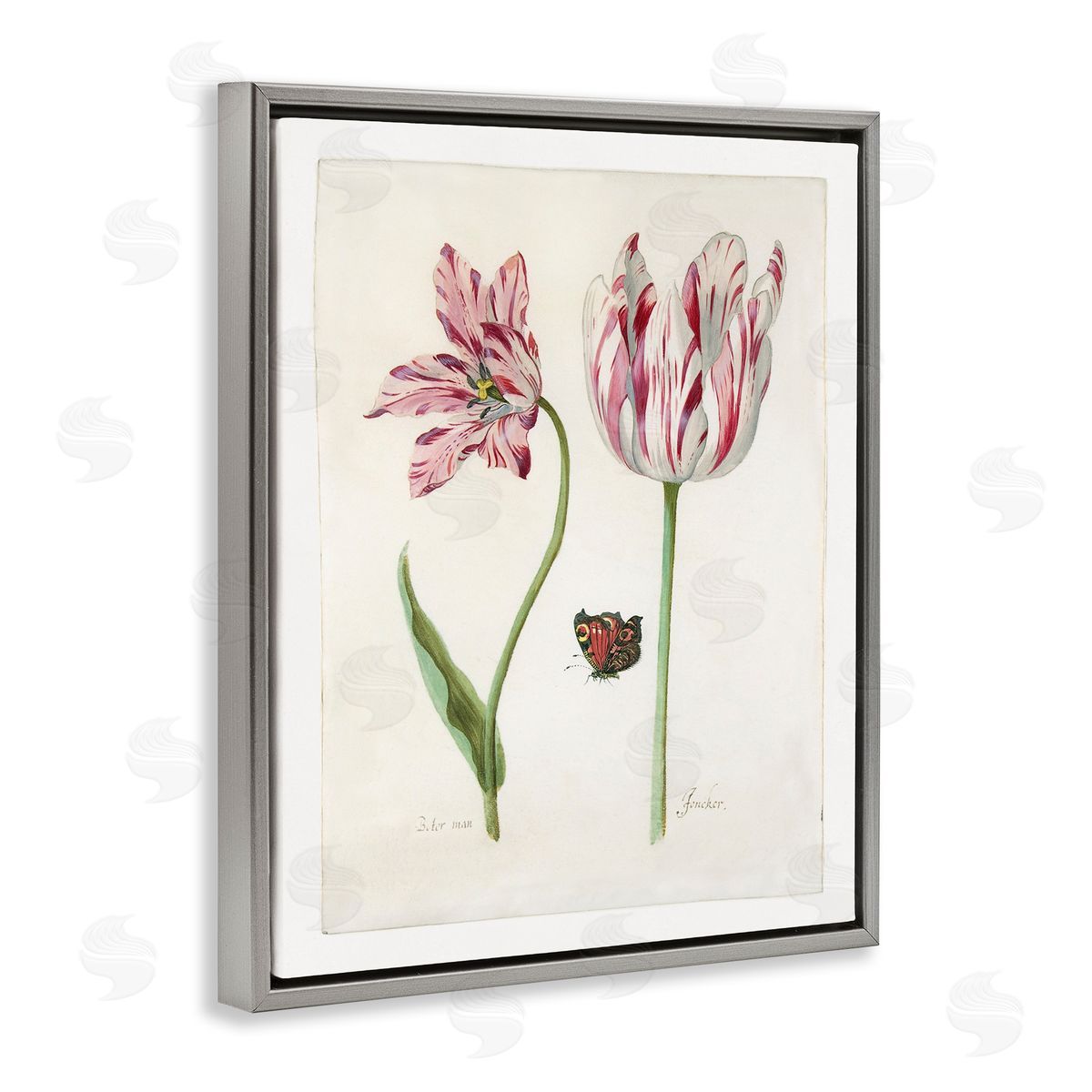 Jacob Marrel Classic Tulip & Butterfly Gray Floating Frame Canvas Wall Art Print
