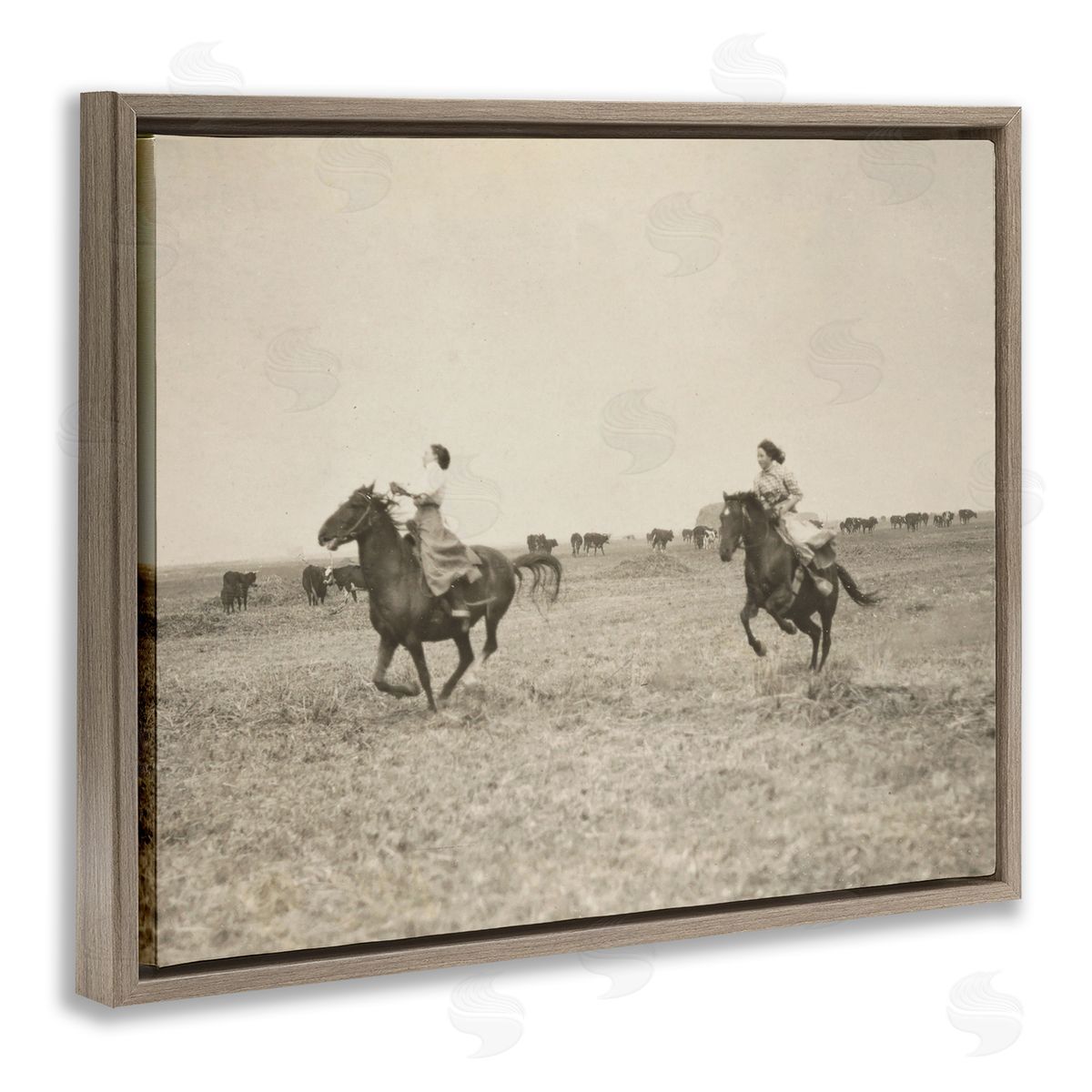 Stupell Studio Galloping Cowgirl Friends Brown Floating Frame Canvas Wall Art Print