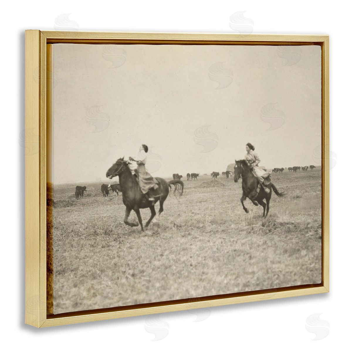 Stupell Studio Galloping Cowgirl Friends Gold Floating Frame Canvas Wall Art Print
