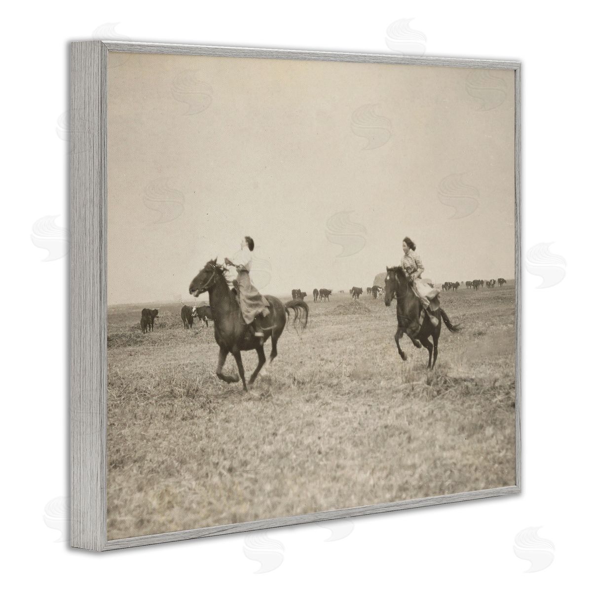 Stupell Studio Galloping Cowgirl Friends Gray Framed Giclee Wall Art Print