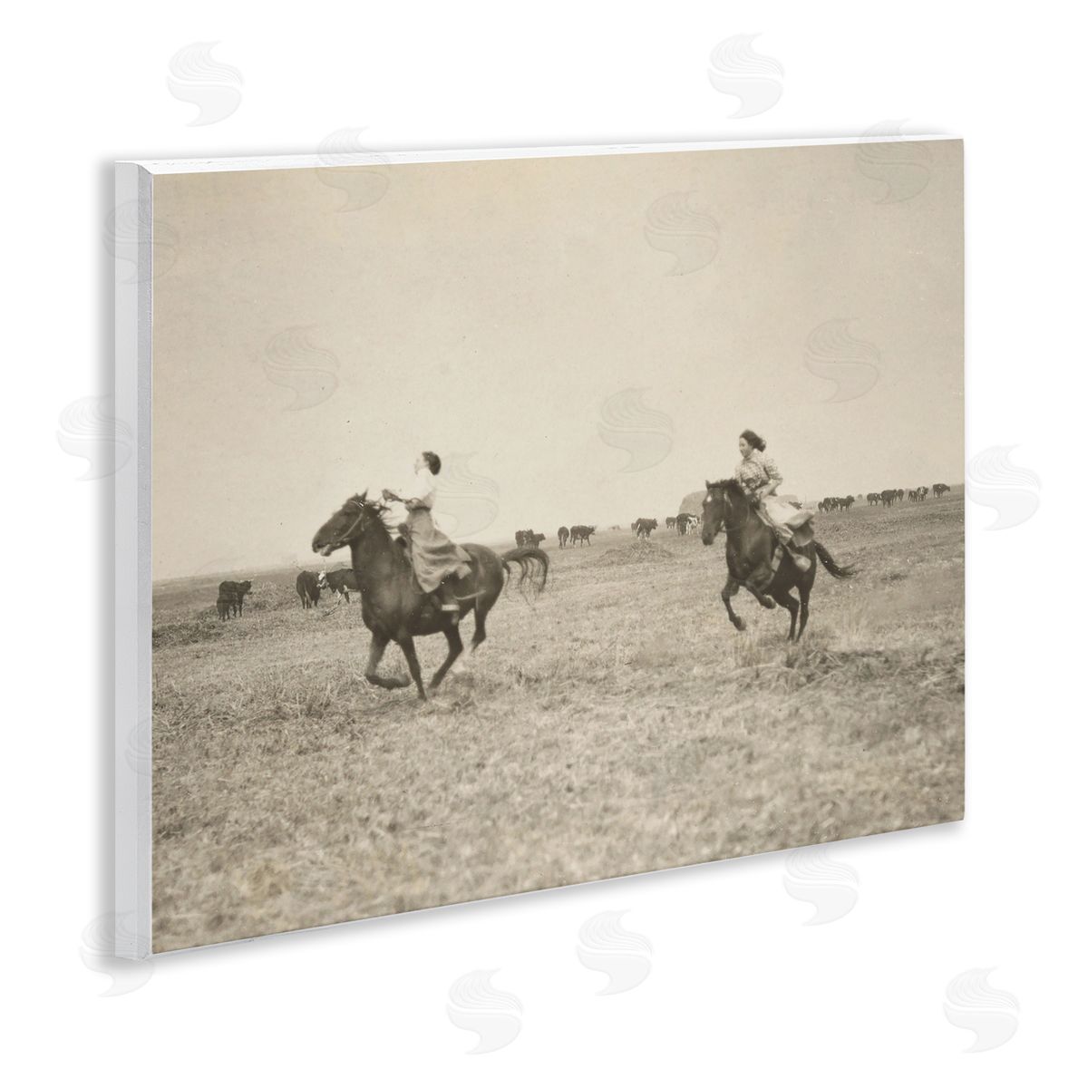 Stupell Studio Galloping Cowgirl Friends Wooden Wall Plaque Art Print