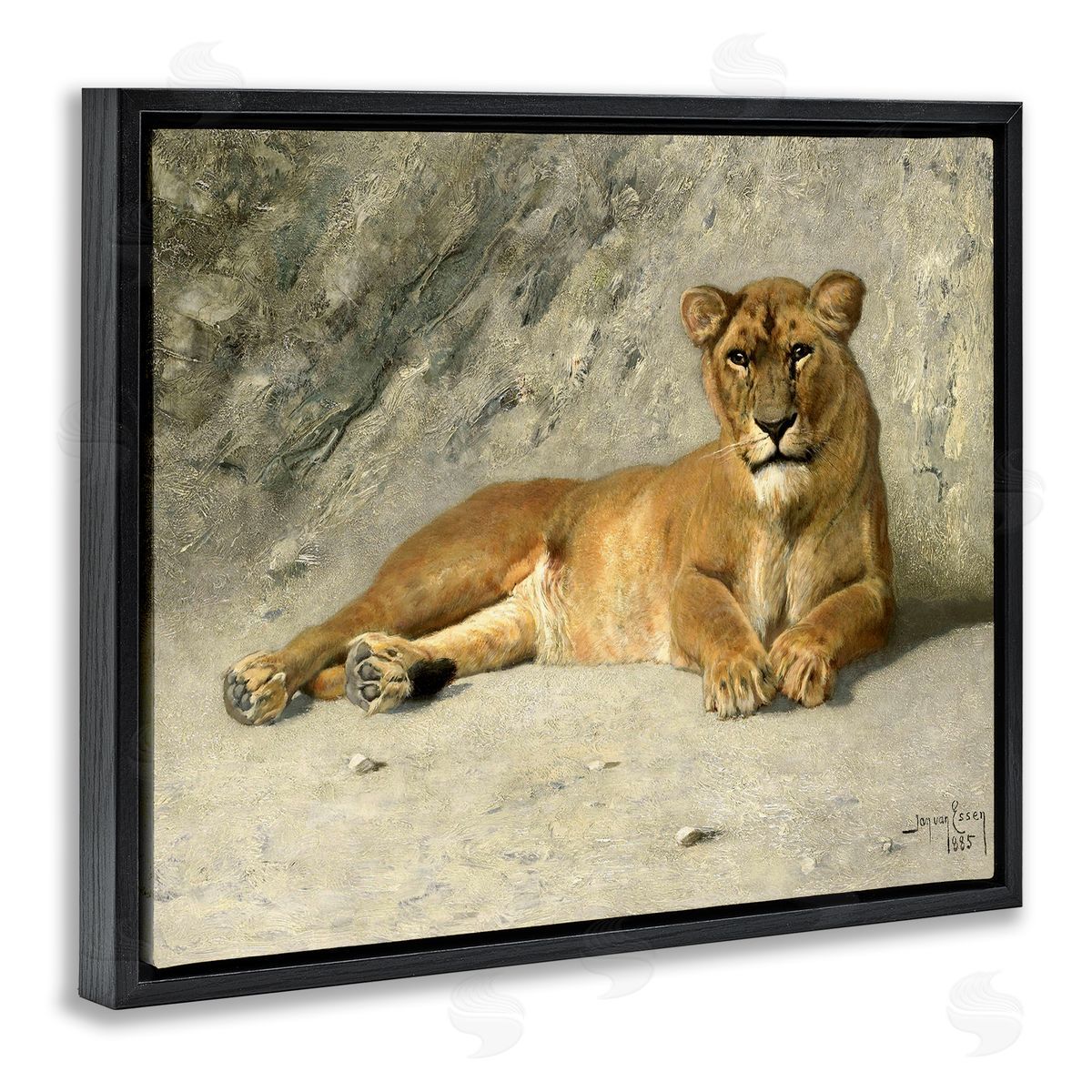 Jan Van Essen Protective Wild Lion Black Floating Frame Canvas Wall Art Print