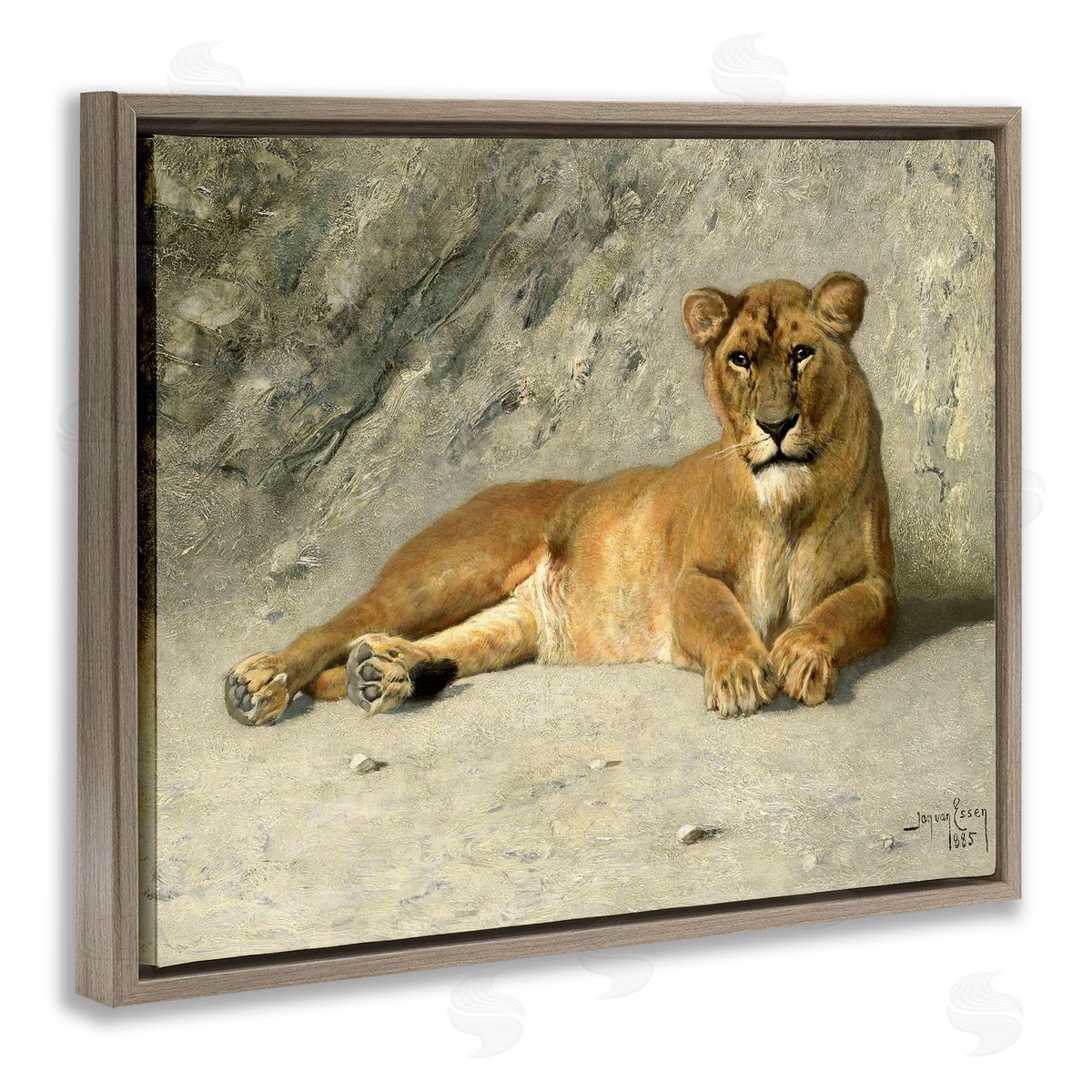 Jan Van Essen Protective Wild Lion Brown Floating Frame Canvas Wall Art Print
