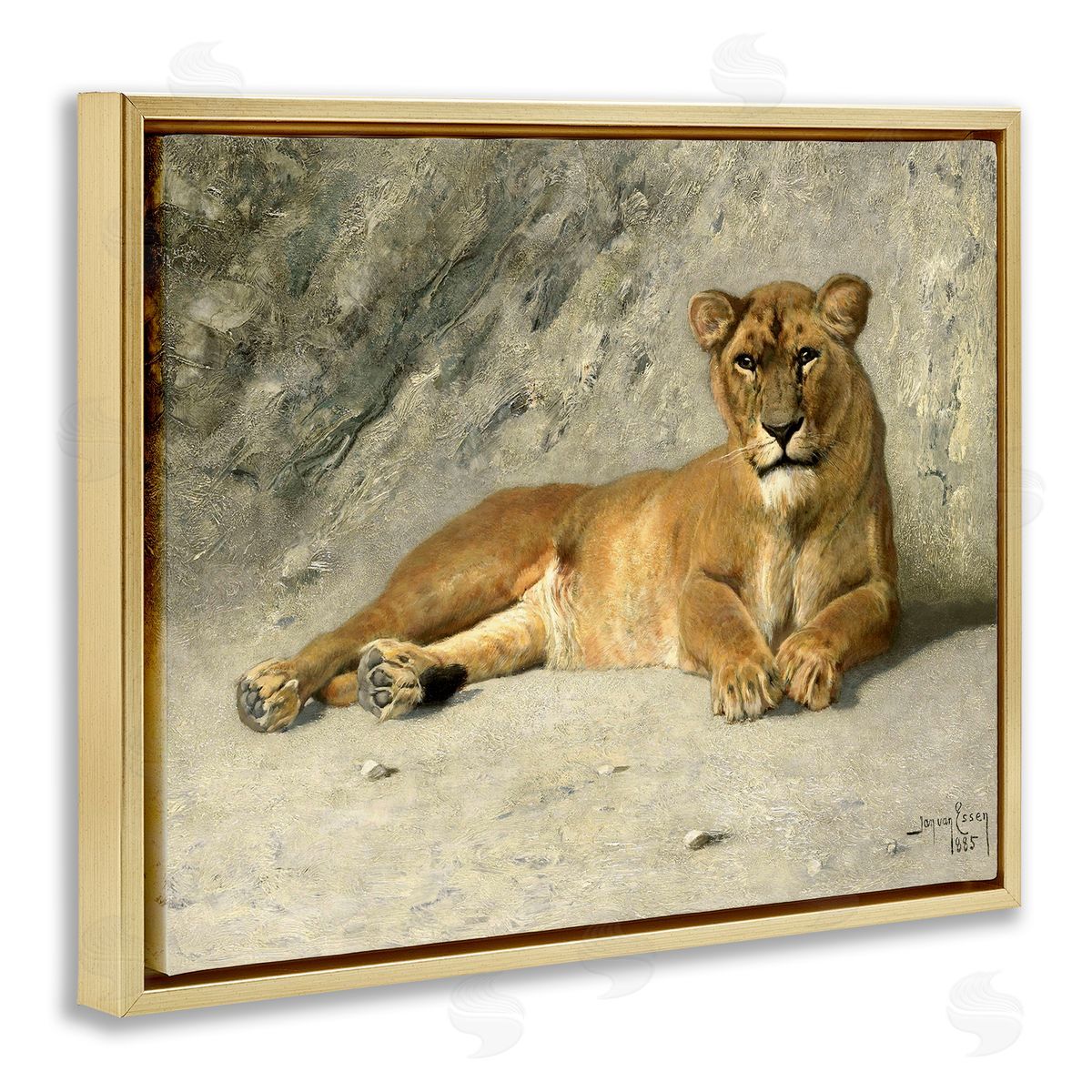 Jan Van Essen Protective Wild Lion Gold Floating Frame Canvas Wall Art Print