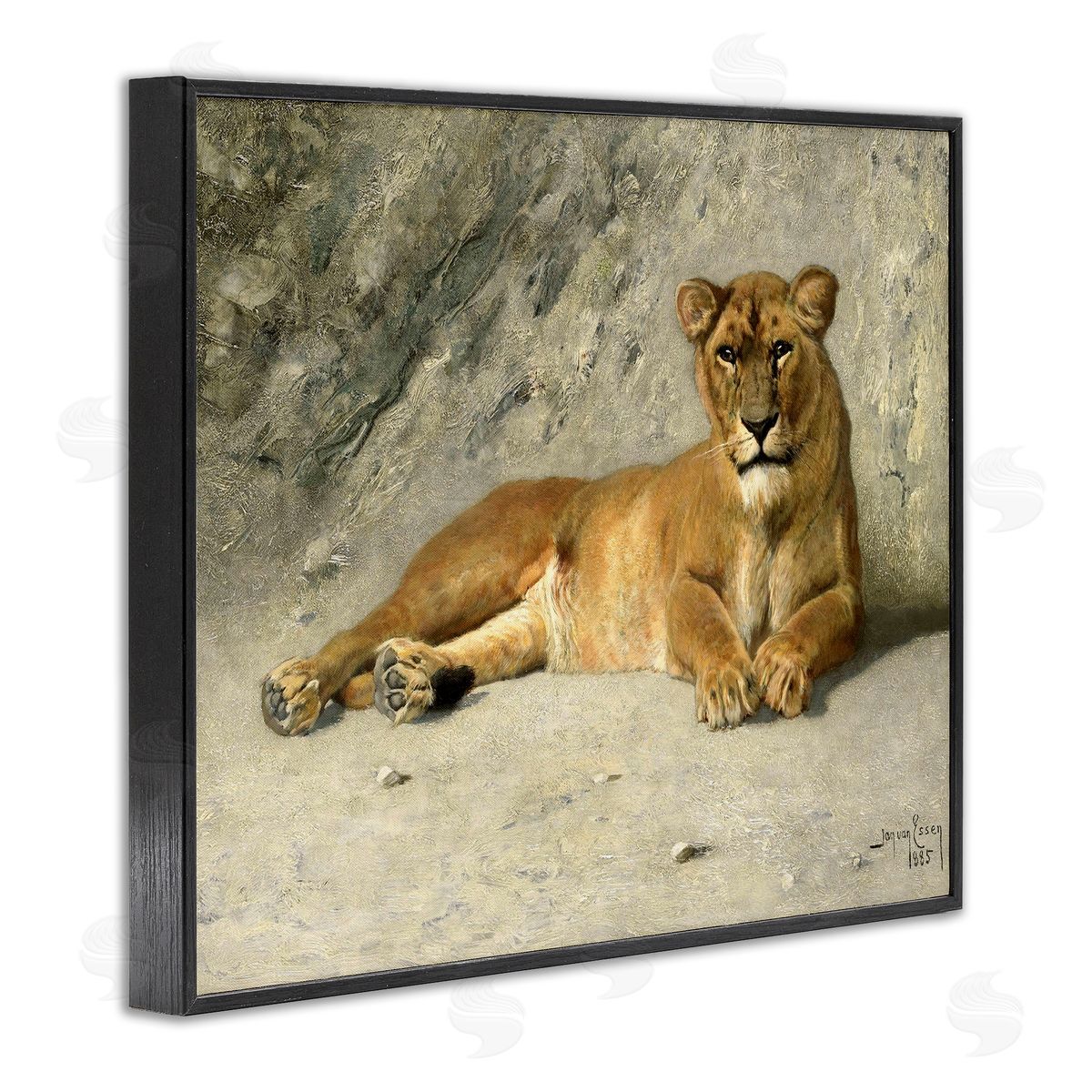 Jan Van Essen Protective Wild Lion Black Framed Giclee Wall Art Print