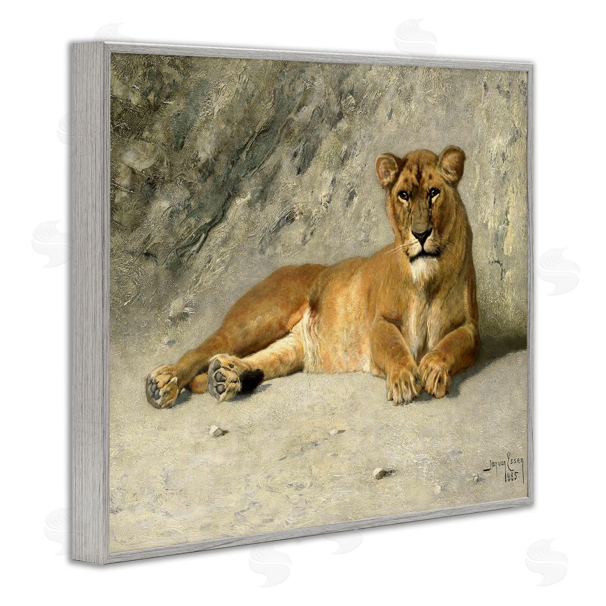 Jan Van Essen Protective Wild Lion Gray Framed Giclee Wall Art Print