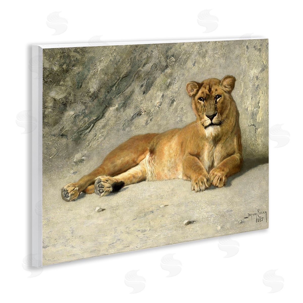 Jan Van Essen Protective Wild Lion Wooden Wall Plaque Art Print