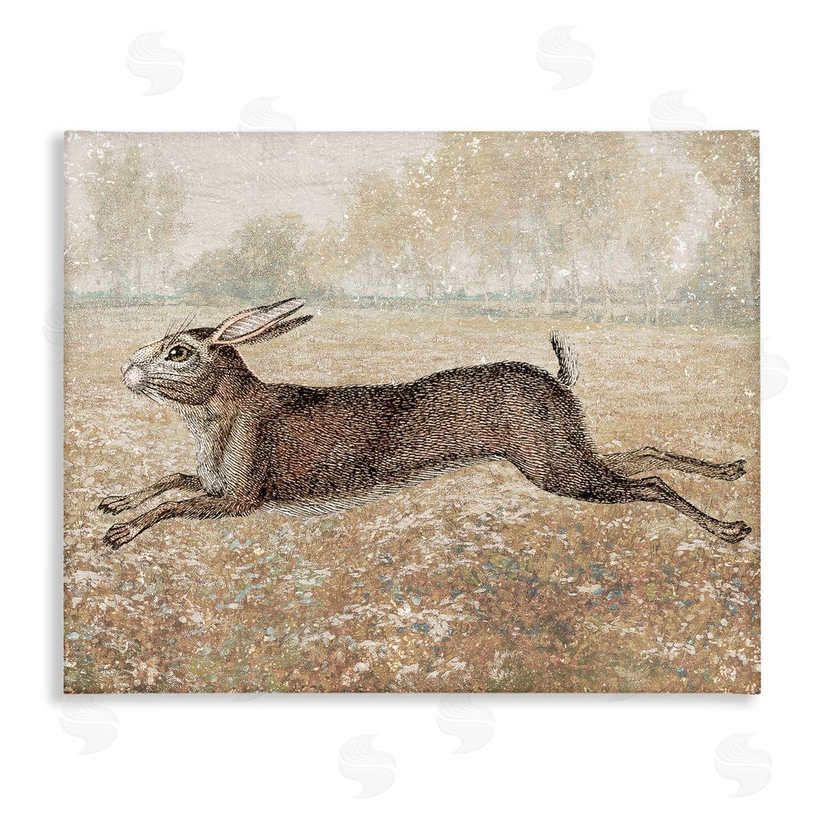 Stupell Studio Traditional Jumping Hare Canvas Wall Art Print