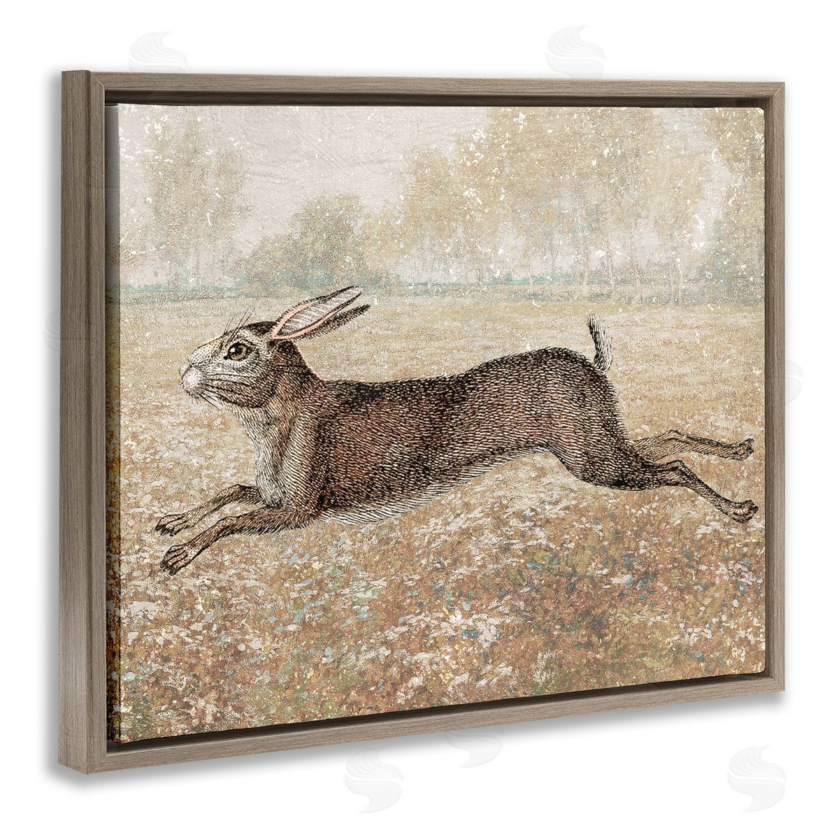 Stupell Studio Traditional Jumping Hare Brown Floating Frame Canvas Wall Art Print