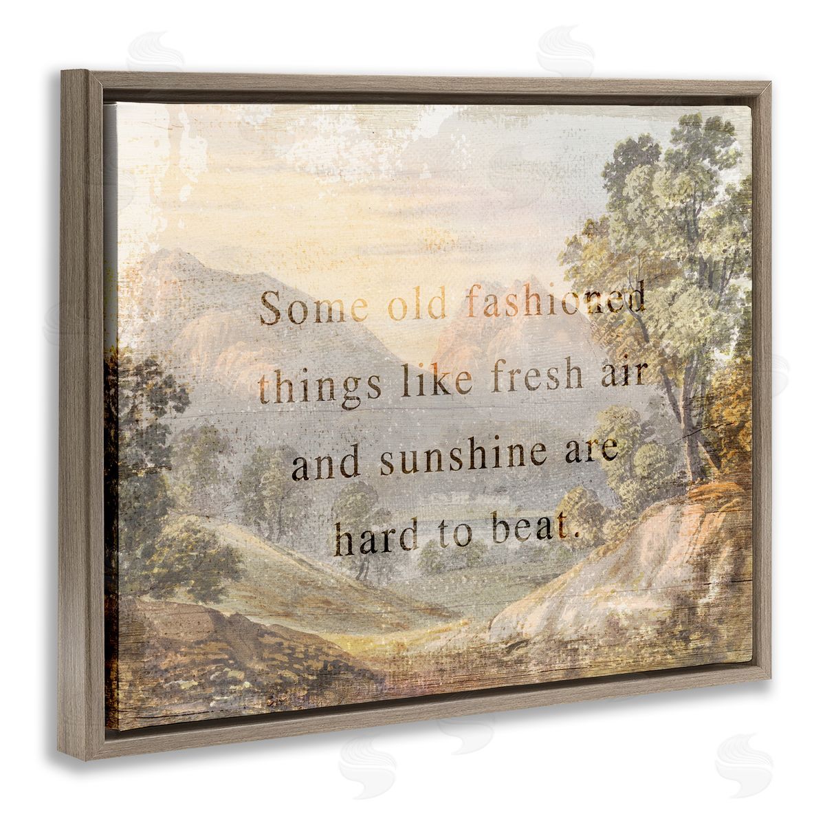 Stupell Studio Fresh Air Sentiment Landscape Brown Floating Frame Canvas Wall Art Print