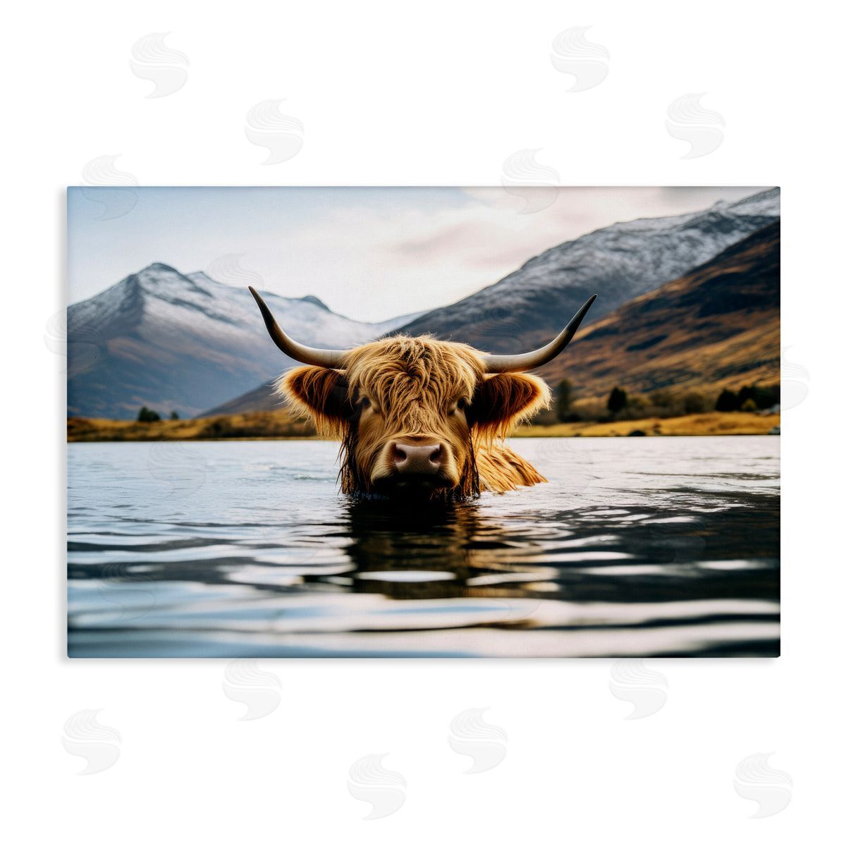 Raymond Powers Cattle Peeking from Water Canvas Wall Art Print