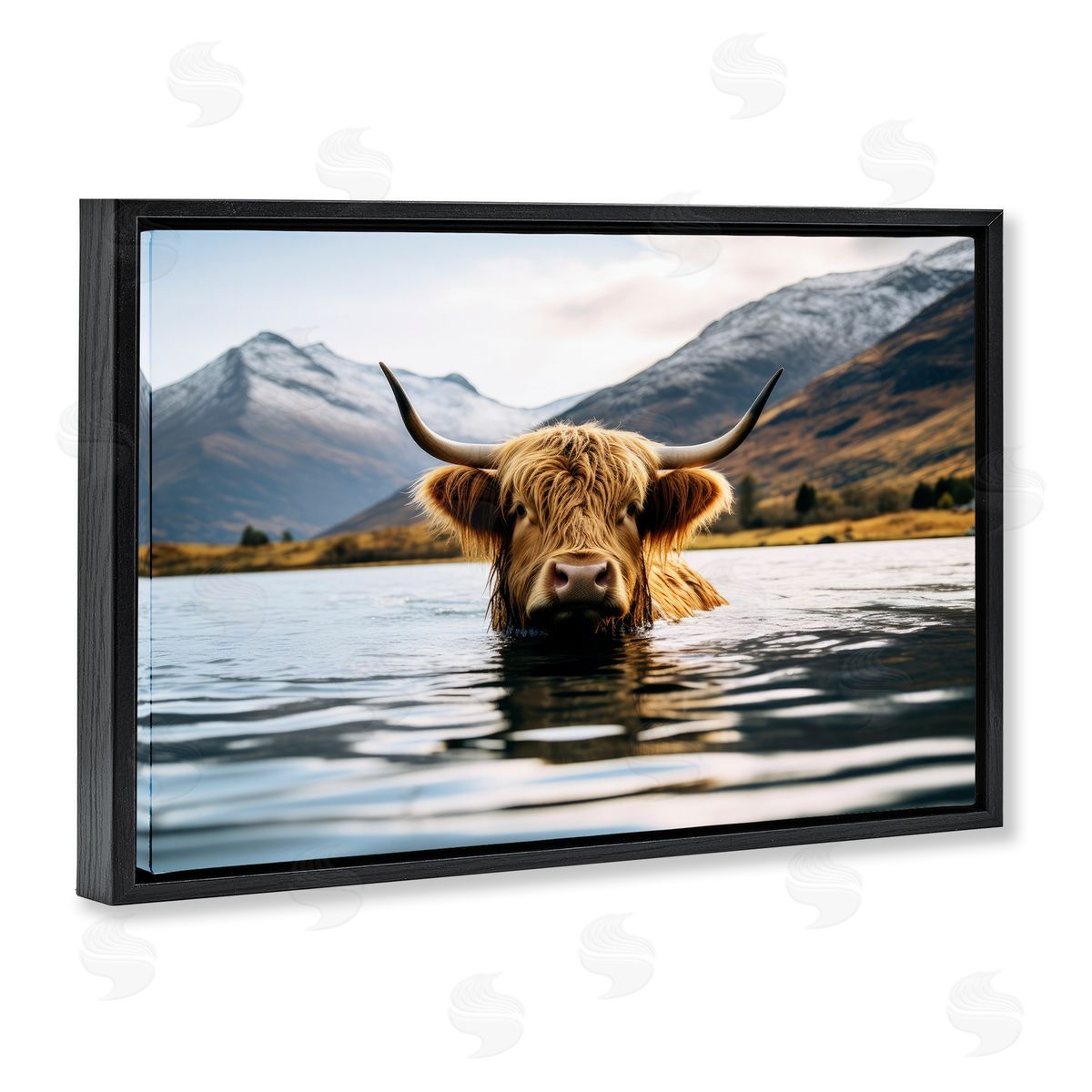 Raymond Powers Cattle Peeking from Water Black Floating Frame Canvas Wall Art Print