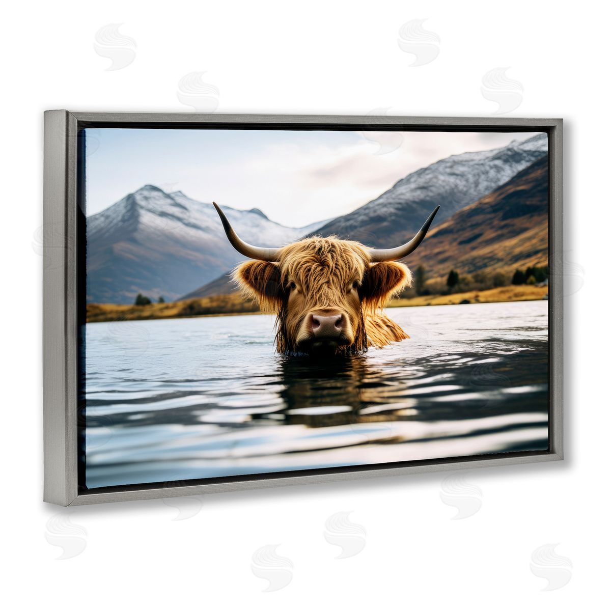 Raymond Powers Cattle Peeking from Water Gray Floating Frame Canvas Wall Art Print