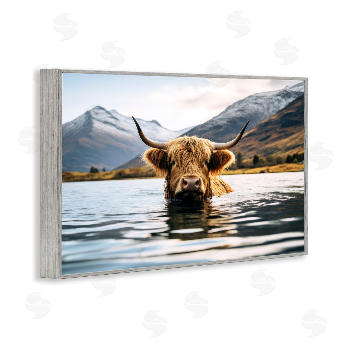 Raymond Powers Cattle Peeking from Water Gray Framed Giclee Wall Art Print