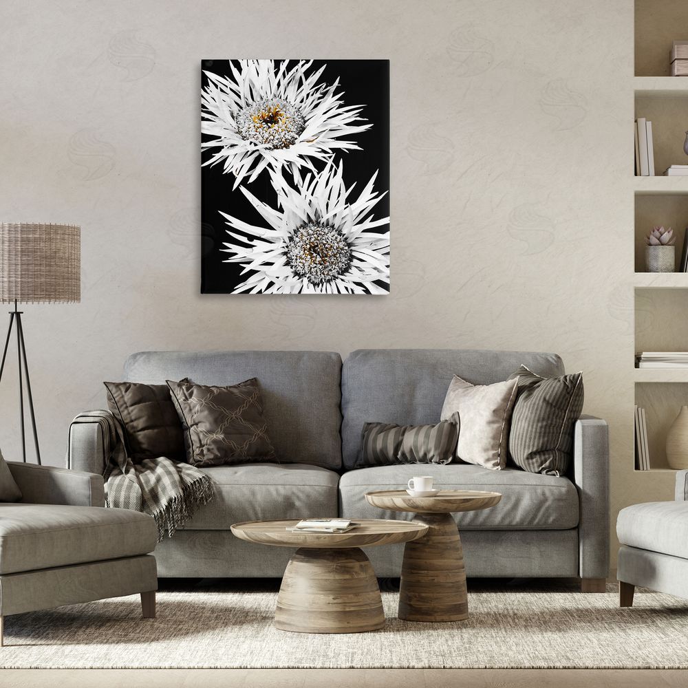 Heidi Bannon Bold Contrast Flower Buds Canvas Wall Art Print in Room