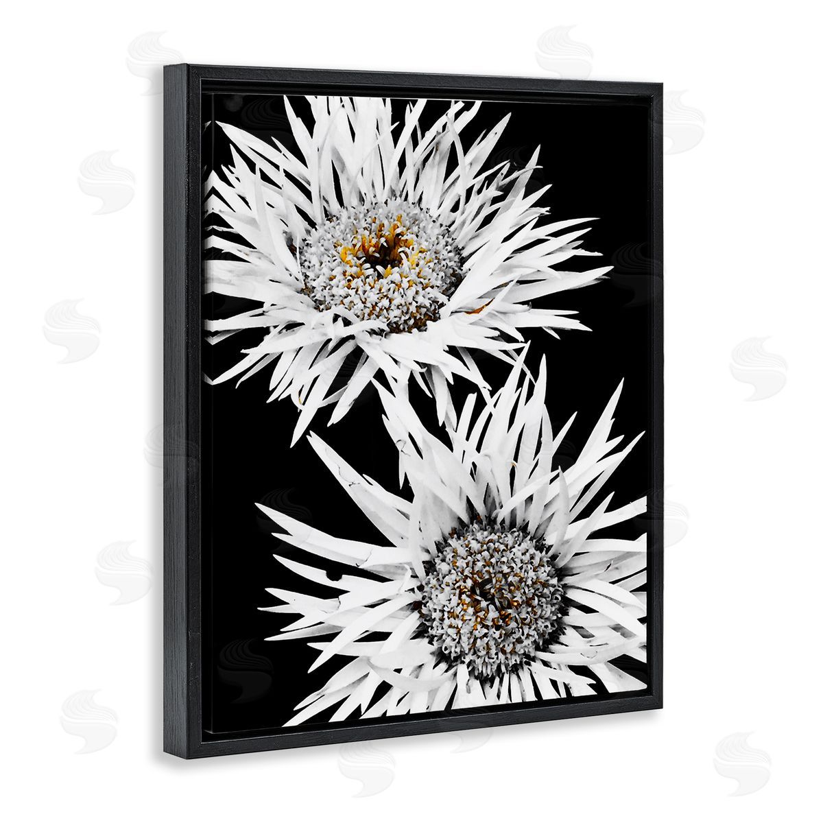 Heidi Bannon Bold Contrast Flower Buds Black Floating Frame Canvas Wall Art Print