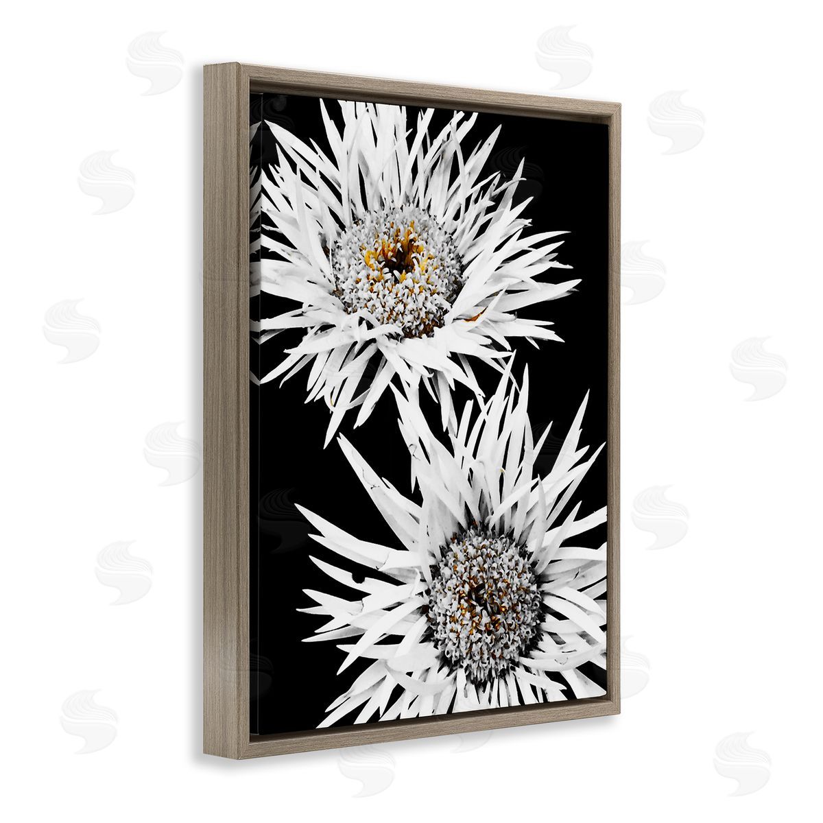 Heidi Bannon Bold Contrast Flower Buds Brown Floating Frame Canvas Wall Art Print