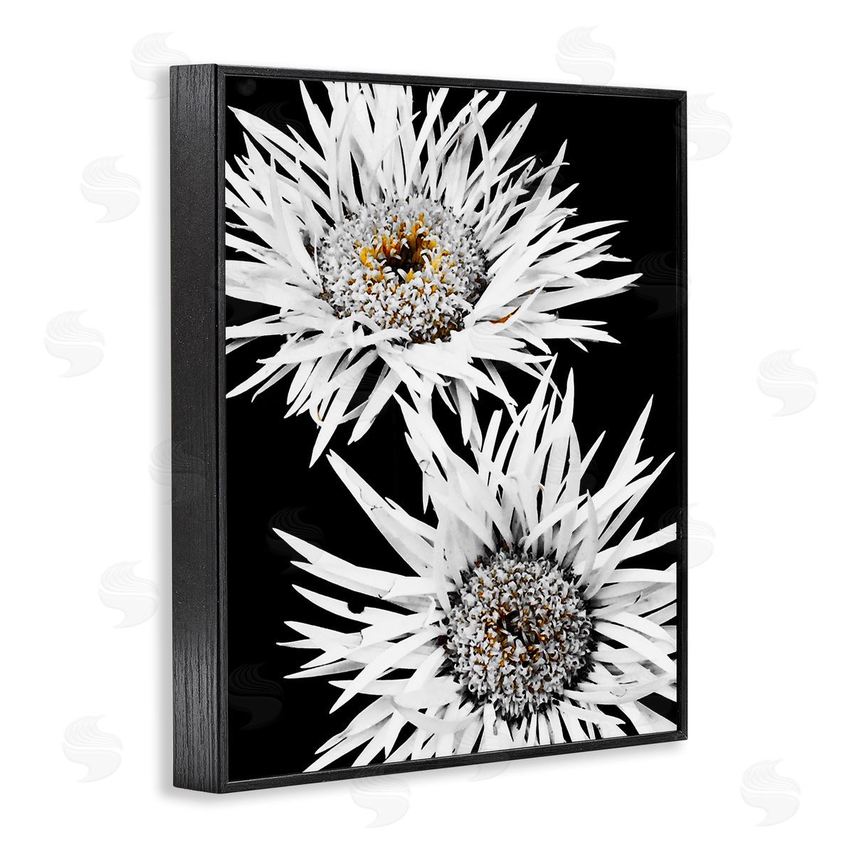 Heidi Bannon Bold Contrast Flower Buds Black Framed Giclee Wall Art Print