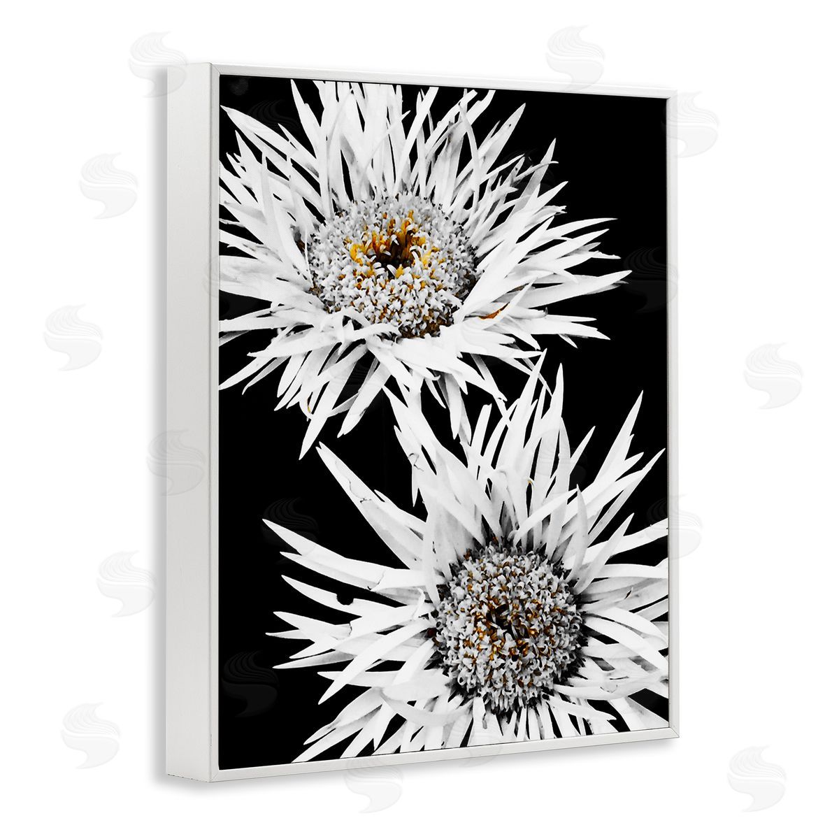 Heidi Bannon Bold Contrast Flower Buds White Framed Giclee Wall Art Print