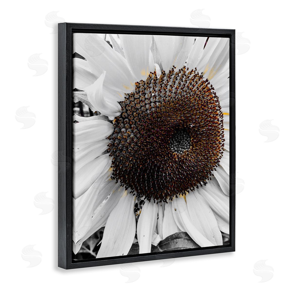 Heidi Bannon Flower Pure White Petals Black Floating Frame Canvas Wall Art Print