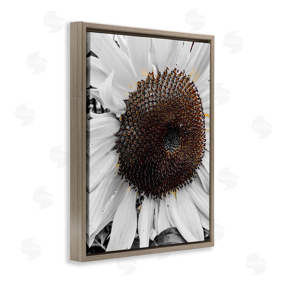 Heidi Bannon Flower Pure White Petals Brown Floating Frame Canvas Wall Art Print