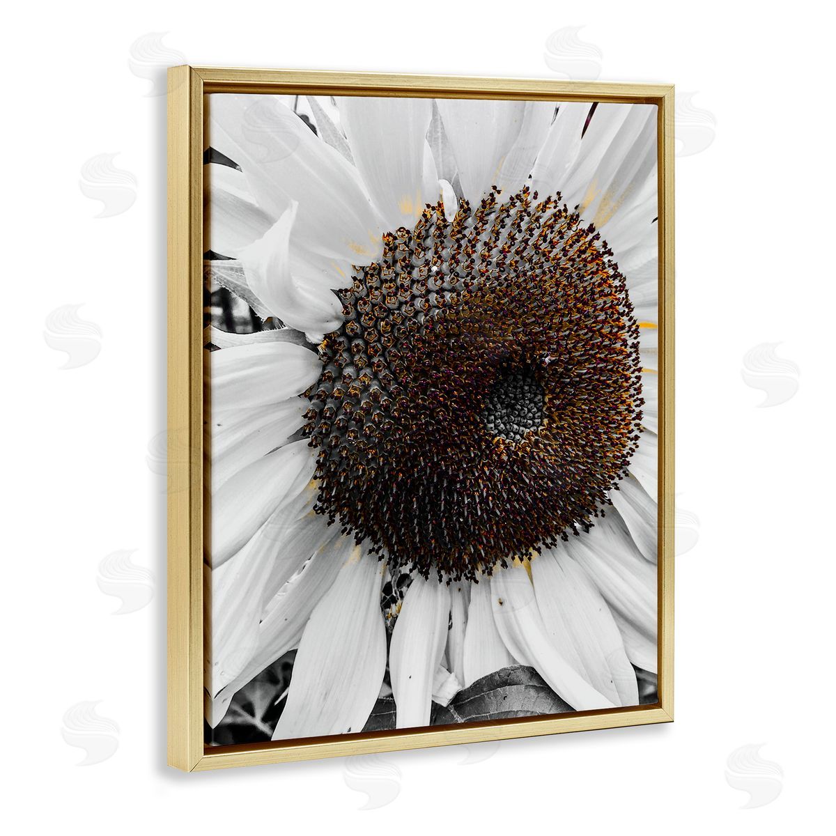 Heidi Bannon Flower Pure White Petals Gold Floating Frame Canvas Wall Art Print
