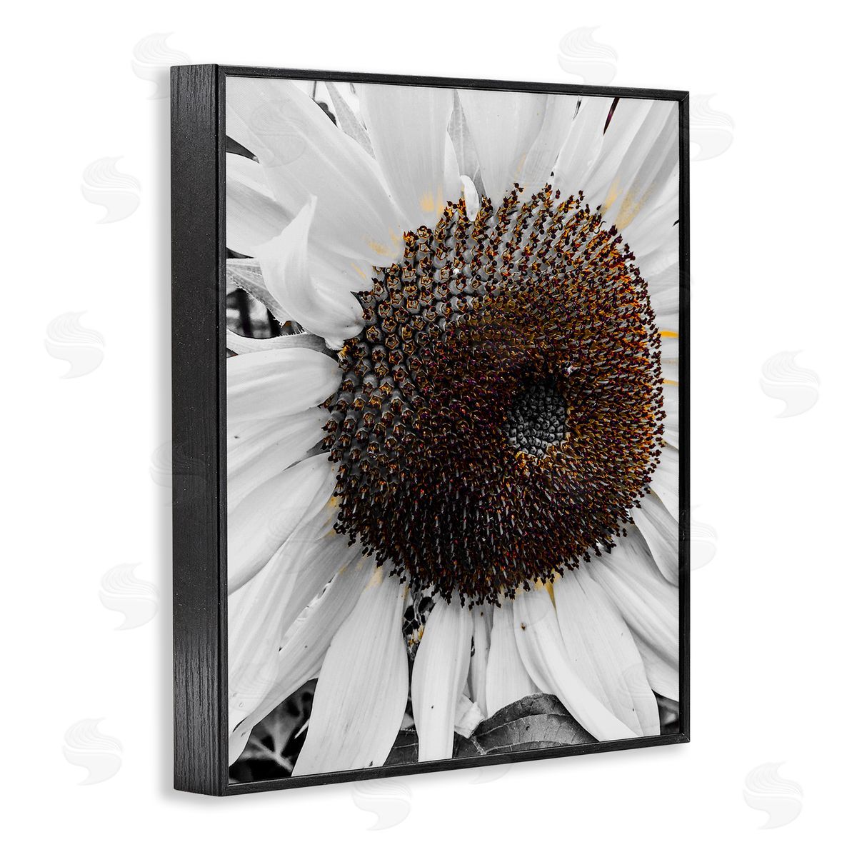 Heidi Bannon Flower Pure White Petals Black Framed Giclee Wall Art Print