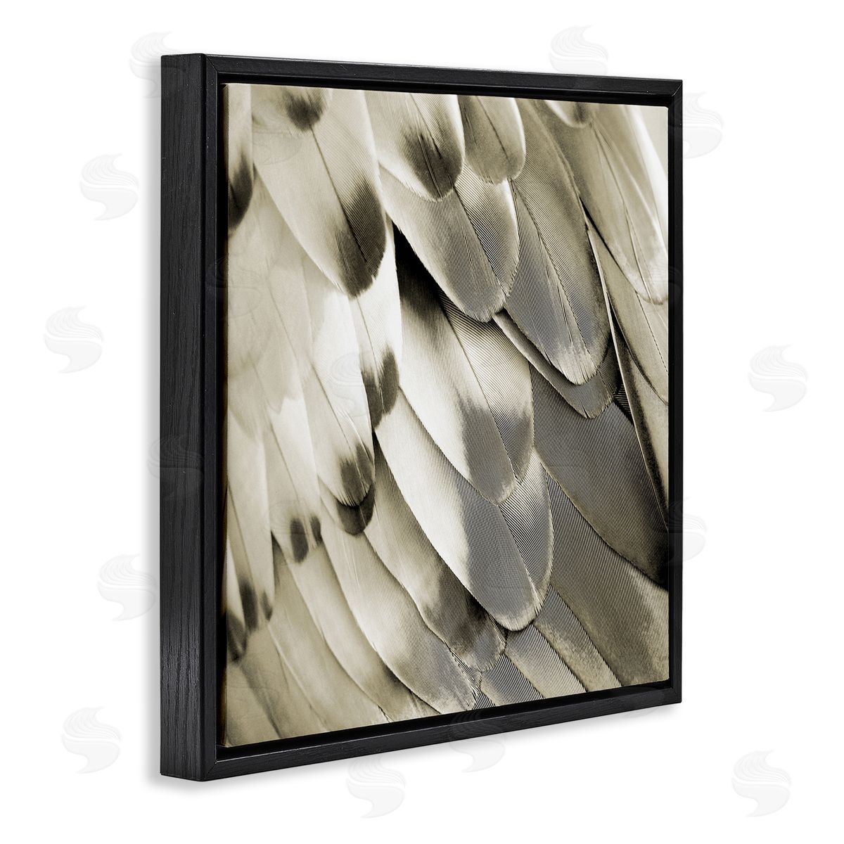 Julia Bosco Sleek Wing Feathers Black Floating Frame Canvas Wall Art Print