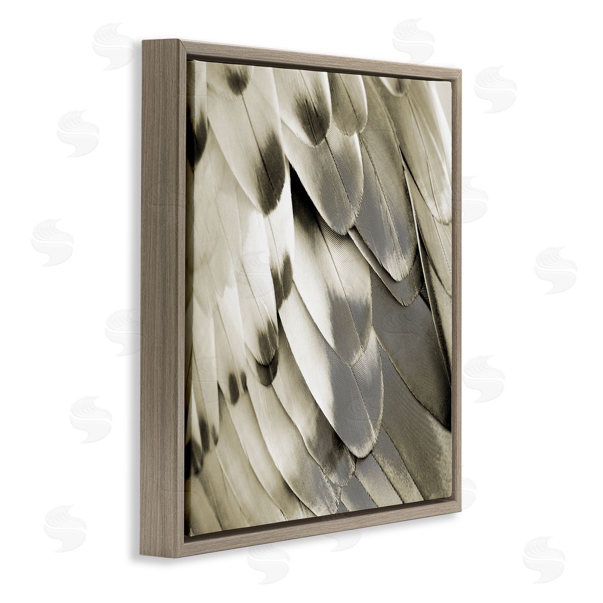 Julia Bosco Sleek Wing Feathers Brown Floating Frame Canvas Wall Art Print
