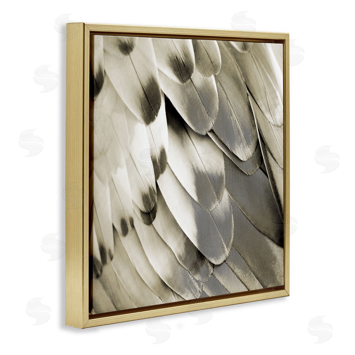 Julia Bosco Sleek Wing Feathers Gold Floating Frame Canvas Wall Art Print