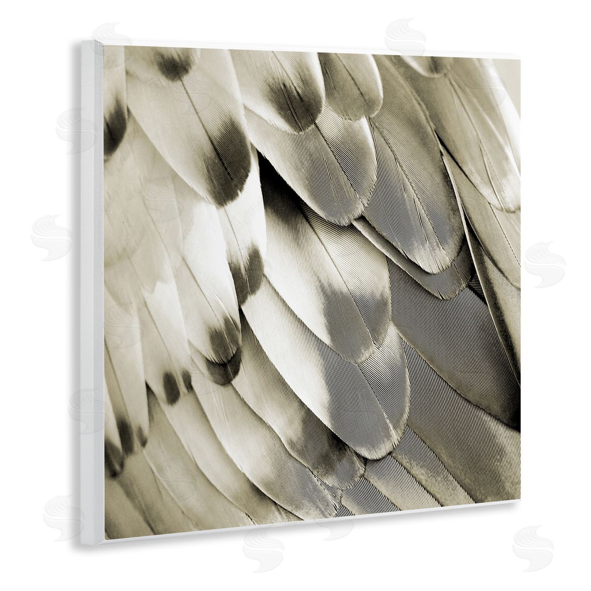 Julia Bosco Sleek Wing Feathers Wooden Wall Plaque Art Print