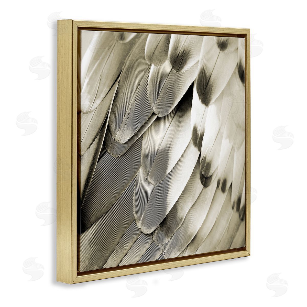 Julia Bosco Sleek Feathers Close Up Gold Floating Frame Canvas Wall Art Print