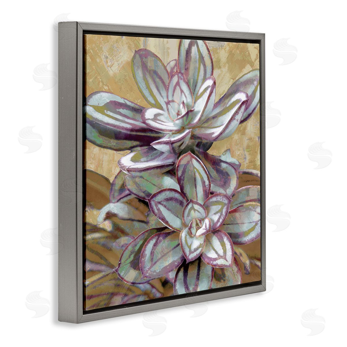 Lindsay Benson Rustic Desert Succulents Gray Floating Frame Canvas Wall Art Print