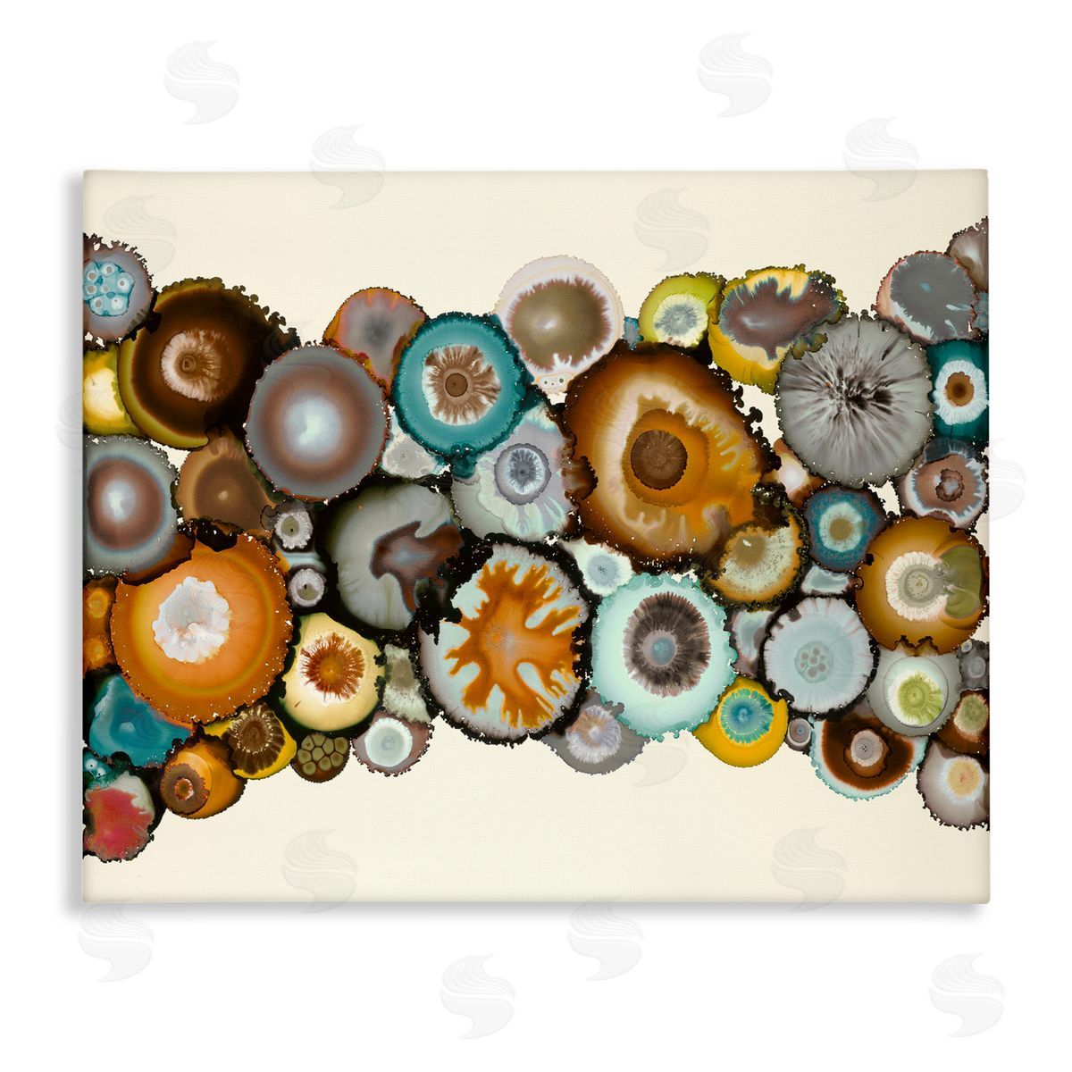 Laura Van Horne Various Agate Clusters Canvas Wall Art Print