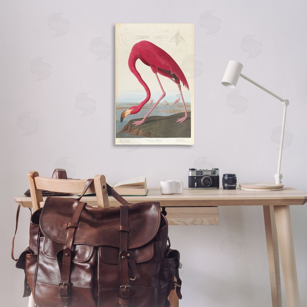 one1000paintings Classic American Flamingo Canvas Wall Art Print in Room