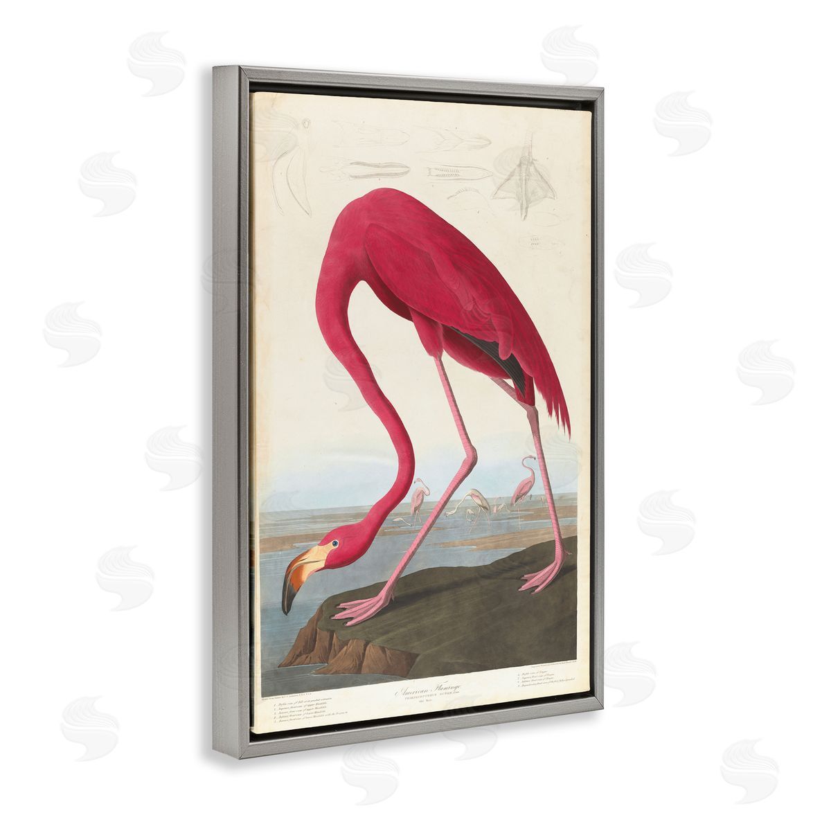 one1000paintings Classic American Flamingo Gray Floating Frame Canvas Wall Art Print