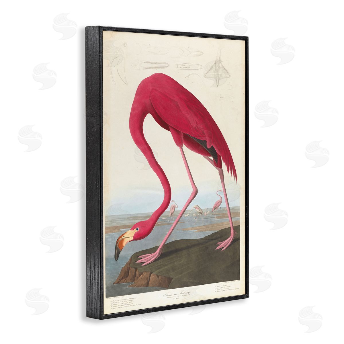 one1000paintings Classic American Flamingo Black Framed Giclee Wall Art Print