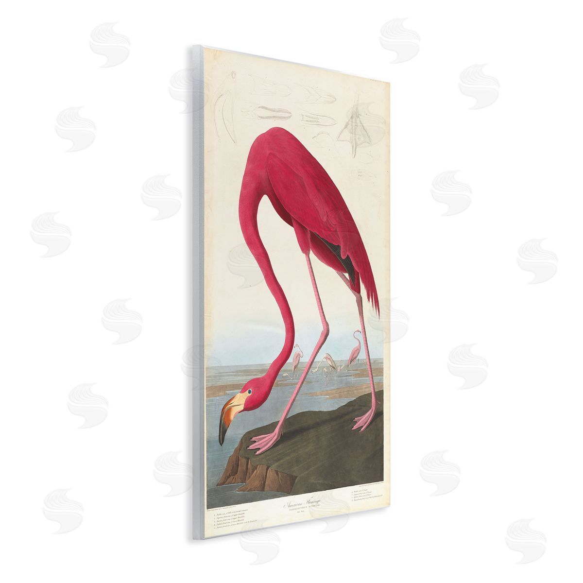 one1000paintings Classic American Flamingo Wooden Wall Plaque Art Print