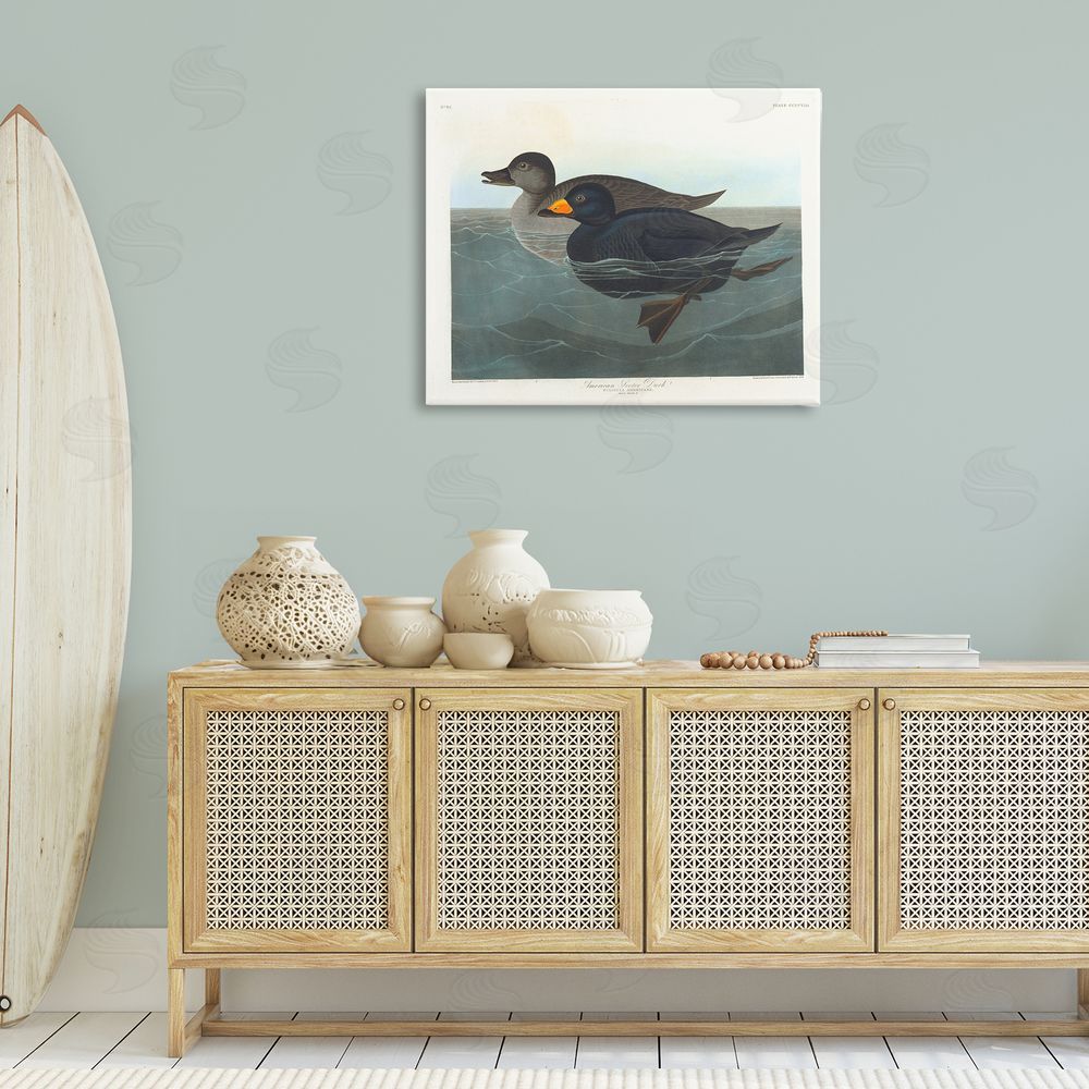 one1000paintings Classic American Scoter Duck Canvas Wall Art Print in Room