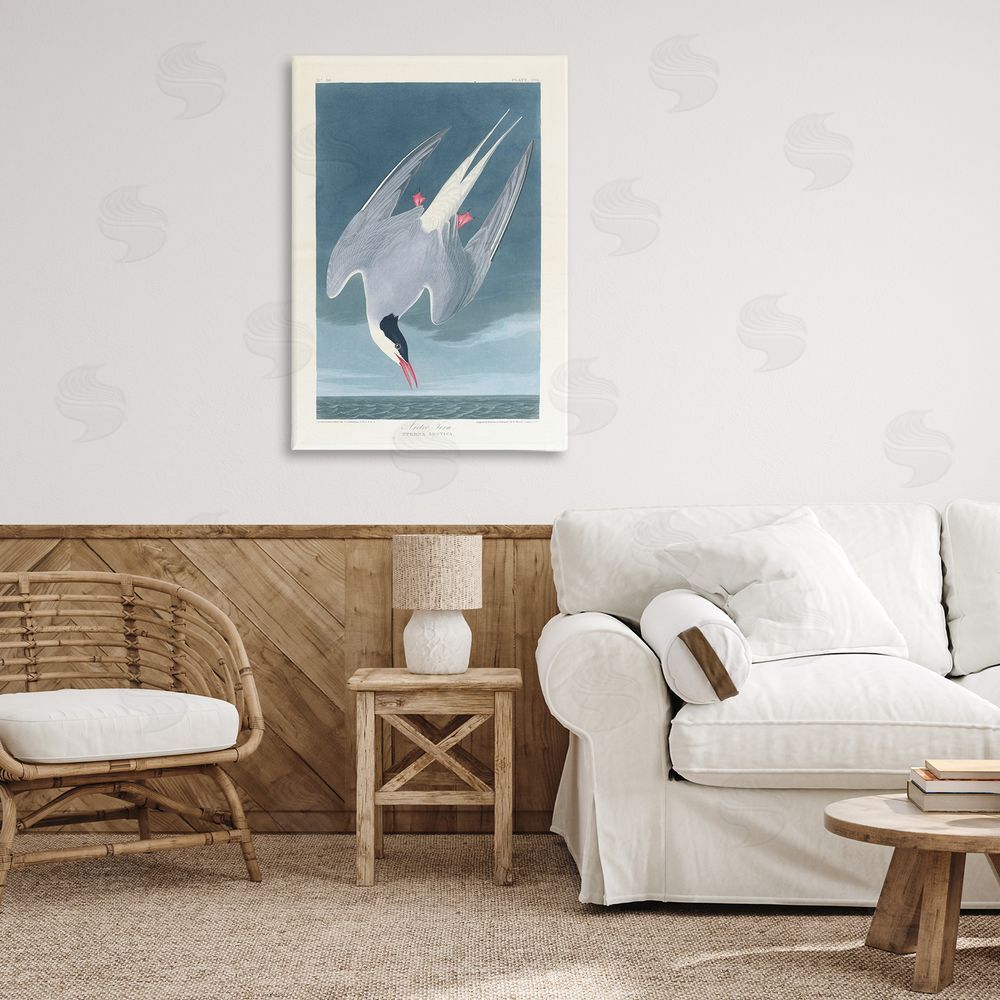 one1000paintings Classic Arctic Tern Bird Canvas Wall Art Print in Room