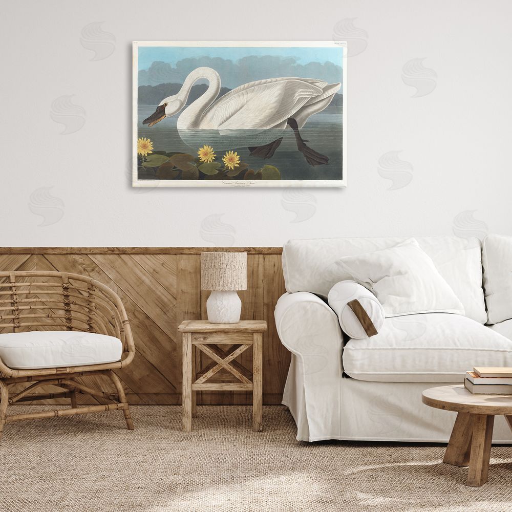one1000paintings Classic Common American Swan Canvas Wall Art Print in Room