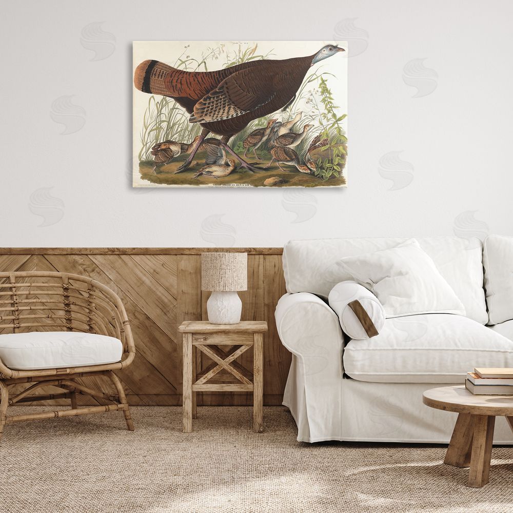 one1000paintings Classic Great American Hen Canvas Wall Art Print in Room